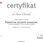 Anna Osińska pierwotne leczenie kanałowe