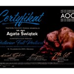 Posterior Full Protocol